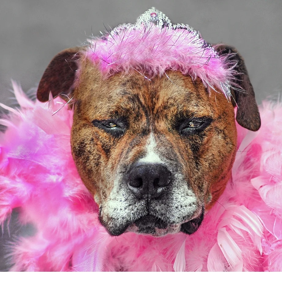 'Alt (pretty in pink) Pink's not my best color' (AA   Place) by Jane Postiglione, N4C Fellow - CC