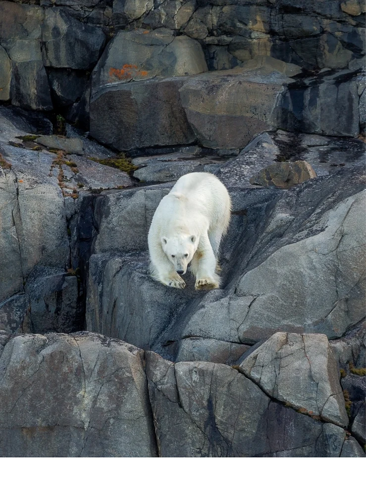 'Coming Down' (PA   Place) by Mary Pieper-Warren - MR