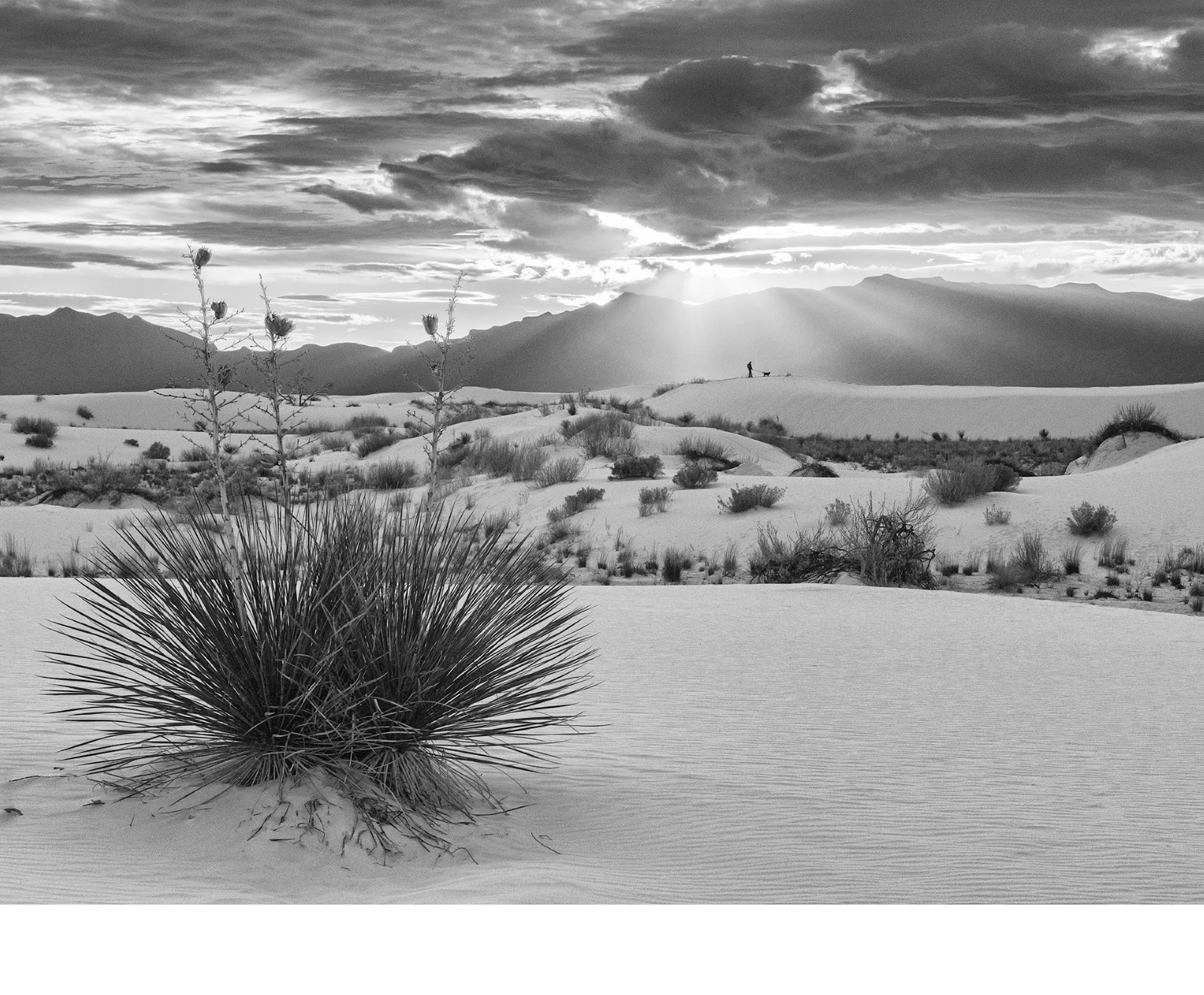 'Framed by sunbeams and shadowed peaks, a lone walk across the dunes becomes a scene of quiet grandeur.' (MI   Place) by Harvey