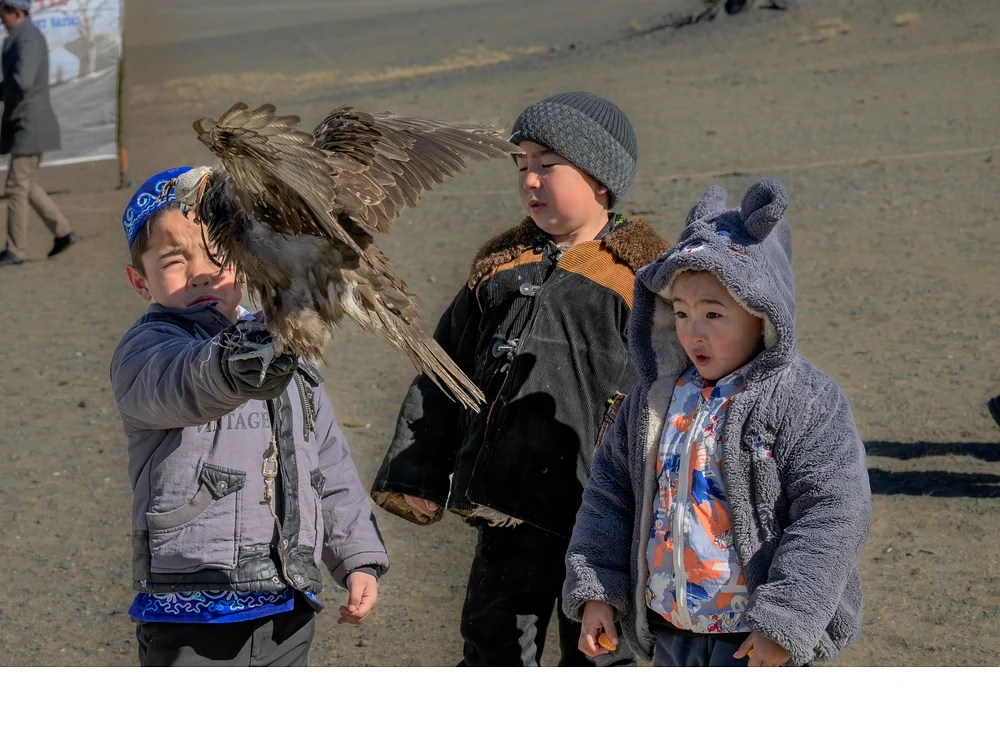 'Future Mongolian Eagle hunter train with a falcon. Fully responsible for caring, handling and training.' (TA   Place) by Debbie
