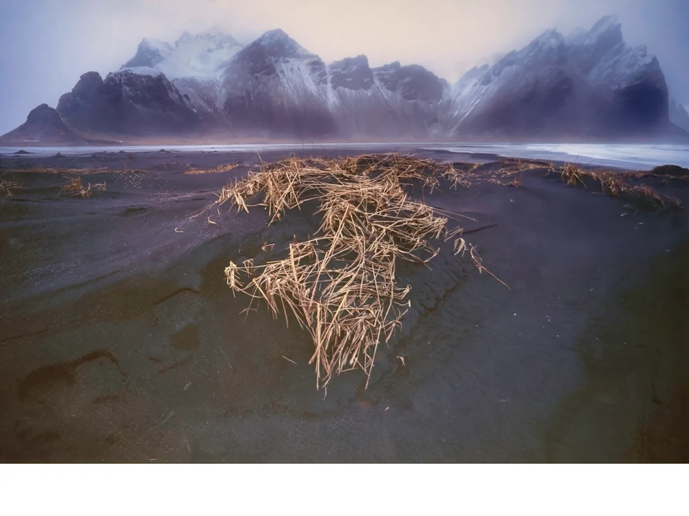 'Natural Flora in Vesturhorn, Iceland' (PM   Place) by Gene Morita - MR