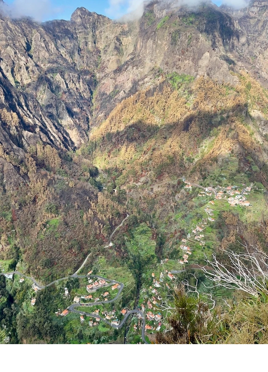 'Roads and homes cling to steep hillsides so that famed Madeira wine grapes can be grown in accessible flatlands. Funchal, Madei