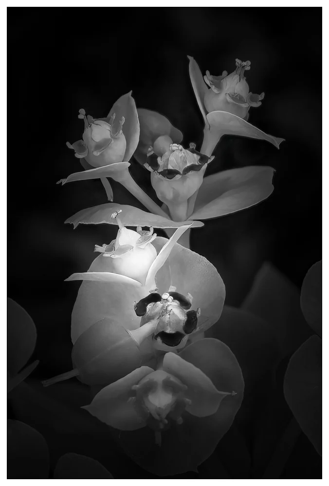 Luminosity